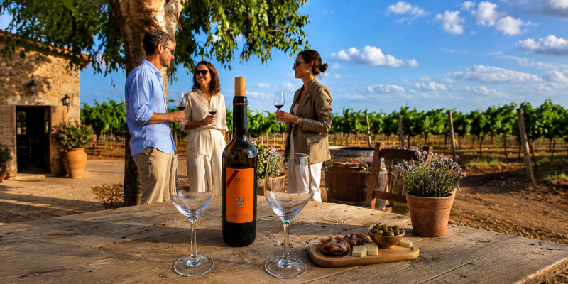Weinverkostung auf einem mallorquinischen Weingut inmitten von Weinbergen.
